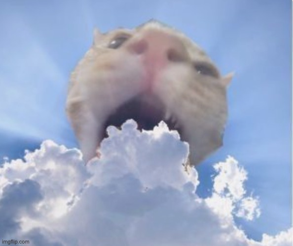 High Quality cat eating cloud Blank Meme Template