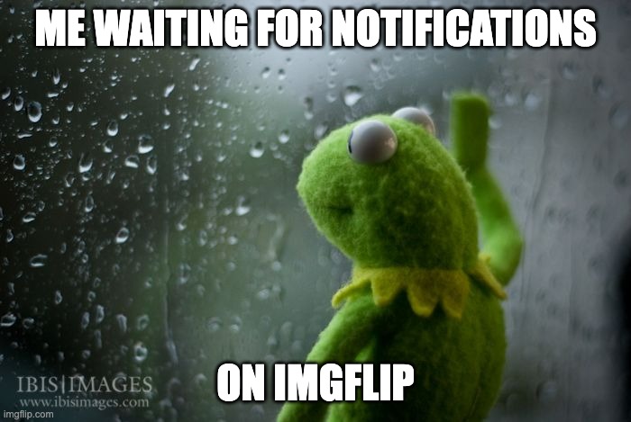 kermit window | ME WAITING FOR NOTIFICATIONS; ON IMGFLIP | image tagged in kermit window | made w/ Imgflip meme maker