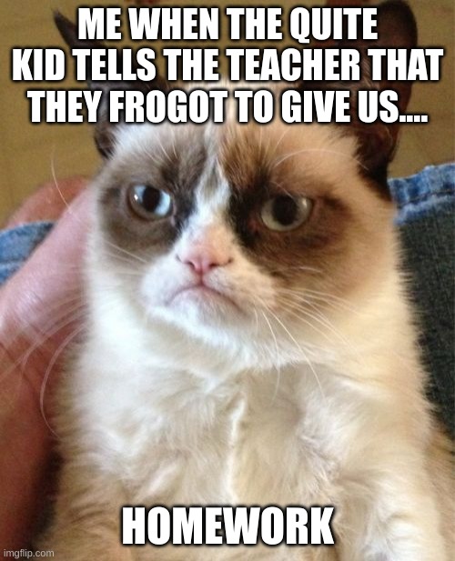 Grumpy Cat Meme | ME WHEN THE QUITE KID TELLS THE TEACHER THAT THEY FROGOT TO GIVE US.... HOMEWORK | image tagged in memes,class,bruh,school,homework,grumpy cat | made w/ Imgflip meme maker