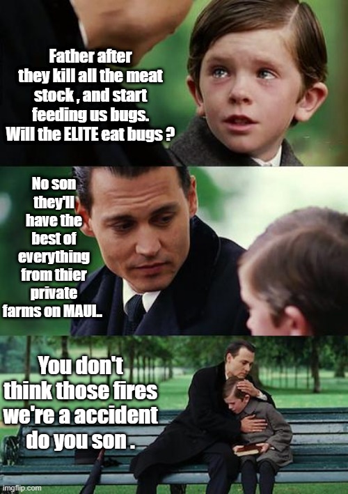 Could be a possibility ? | Father after they kill all the meat stock , and start feeding us bugs. Will the ELITE eat bugs ? No son they'll have the best of everything from thier private farms on MAUI.. You don't think those fires we're a accident  do you son . | image tagged in memes,finding neverland | made w/ Imgflip meme maker