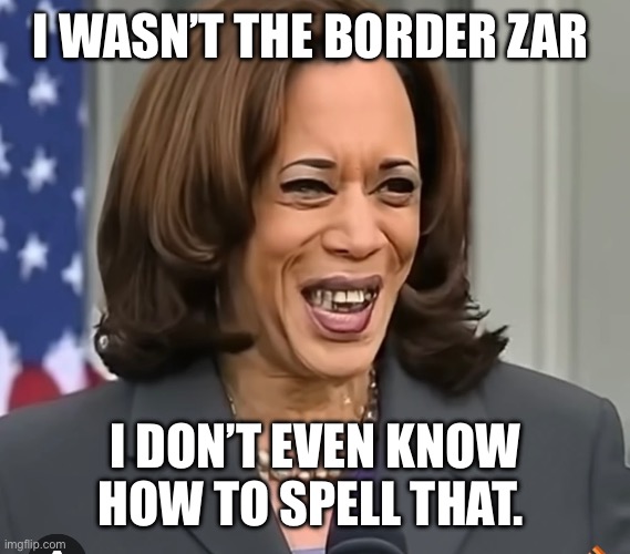 I WASN’T THE BORDER ZAR; I DON’T EVEN KNOW HOW TO SPELL THAT. | made w/ Imgflip meme maker