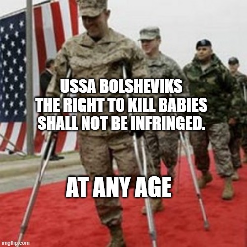 veterans lose money | USSA BOLSHEVIKS THE RIGHT TO KILL BABIES SHALL NOT BE INFRINGED. AT ANY AGE | image tagged in veterans lose money | made w/ Imgflip meme maker