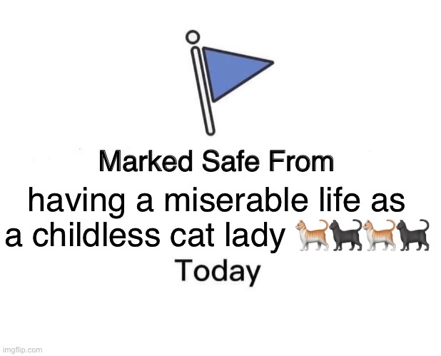 Childless cat lady | having a miserable life as a childless cat lady 🐈🐈‍⬛🐈🐈‍⬛ | image tagged in memes,marked safe from | made w/ Imgflip meme maker