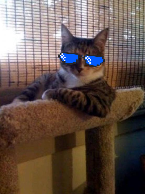 Mecat Blank Meme Template