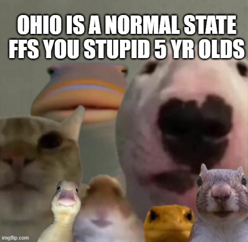 The council remastered | OHIO IS A NORMAL STATE FFS YOU STUPID 5 YR OLDS | image tagged in the council remastered | made w/ Imgflip meme maker