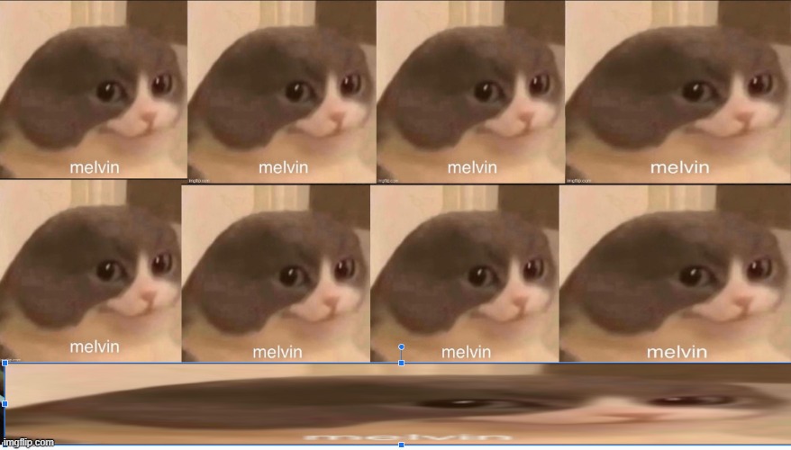 melvin | image tagged in melvin | made w/ Imgflip meme maker