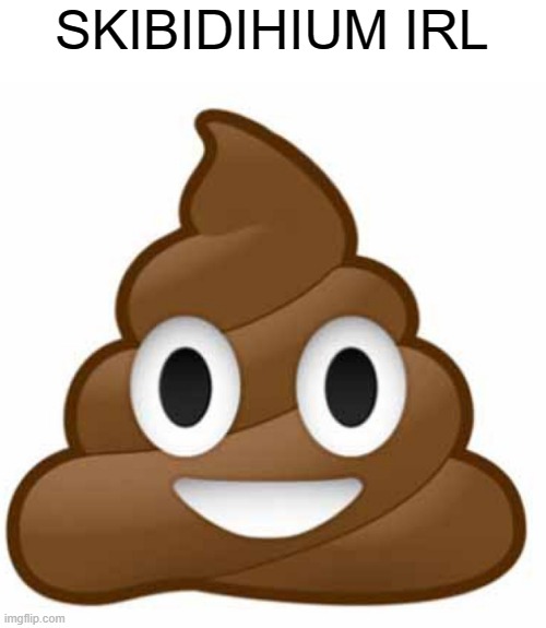 Poop emoji | SKIBIDIHIUM IRL | image tagged in poop emoji | made w/ Imgflip meme maker