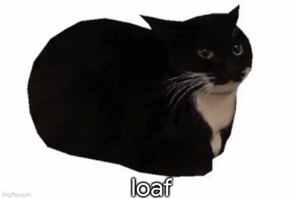 maxwell the cat | loaf | image tagged in maxwell the cat | made w/ Imgflip meme maker