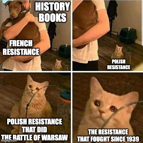 stalin was at the doorstep to warsaw but did not invade warsaw until the resistance was crushed | HISTORY BOOKS; FRENCH RESISTANCE; POLISH RESISTANCE; POLISH RESISTANCE THAT DID THE BATTLE OF WARSAW; THE RESISTANCE THAT FOUGHT SINCE 1939 | image tagged in sad cat holding dog,memes | made w/ Imgflip meme maker