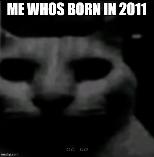 ME WHOS BORN IN 2011 | made w/ Imgflip meme maker