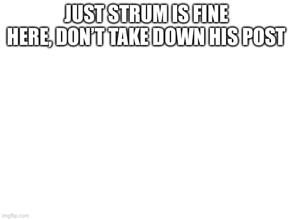 JUST STRUM IS FINE HERE, DON’T TAKE DOWN HIS POST | made w/ Imgflip meme maker