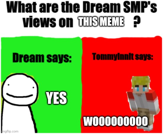 Views of the DSMP | THIS MEME YES WOOOOOOOOO | image tagged in views of the dsmp | made w/ Imgflip meme maker