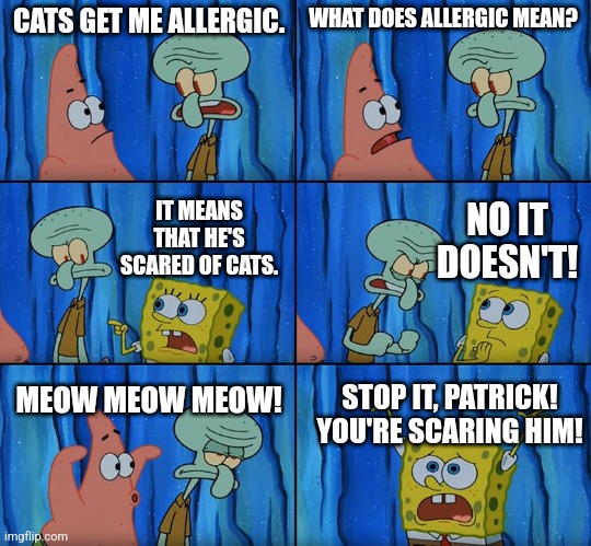 I'm actually allergic to cats | CATS GET ME ALLERGIC. WHAT DOES ALLERGIC MEAN? NO IT DOESN'T! IT MEANS THAT HE'S SCARED OF CATS. MEOW MEOW MEOW! STOP IT, PATRICK! YOU'RE SCARING HIM! | image tagged in stop it patrick you're scaring him,memes,funny,allergies | made w/ Imgflip meme maker