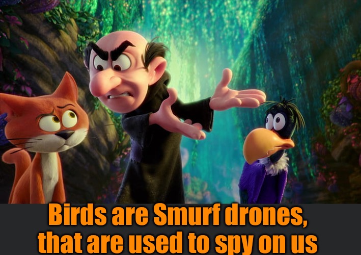 Birds aren’t real | Birds are Smurf drones, that are used to spy on us | image tagged in drones | made w/ Imgflip meme maker