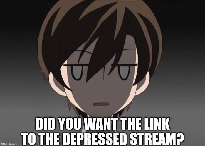 haruhi blank face | DID YOU WANT THE LINK TO THE DEPRESSED STREAM? | image tagged in haruhi blank face | made w/ Imgflip meme maker