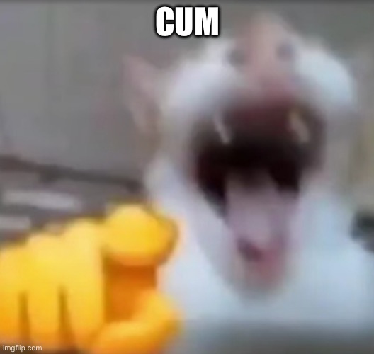 Cat pointing and laughing | CUM | image tagged in cat pointing and laughing | made w/ Imgflip meme maker