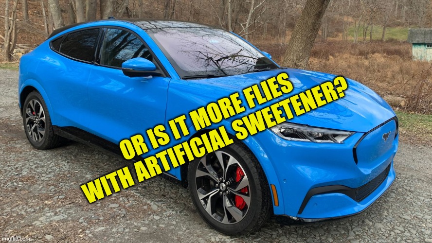 mach e | OR IS IT MORE FLIES WITH ARTIFICIAL SWEETENER? | image tagged in mach e | made w/ Imgflip meme maker
