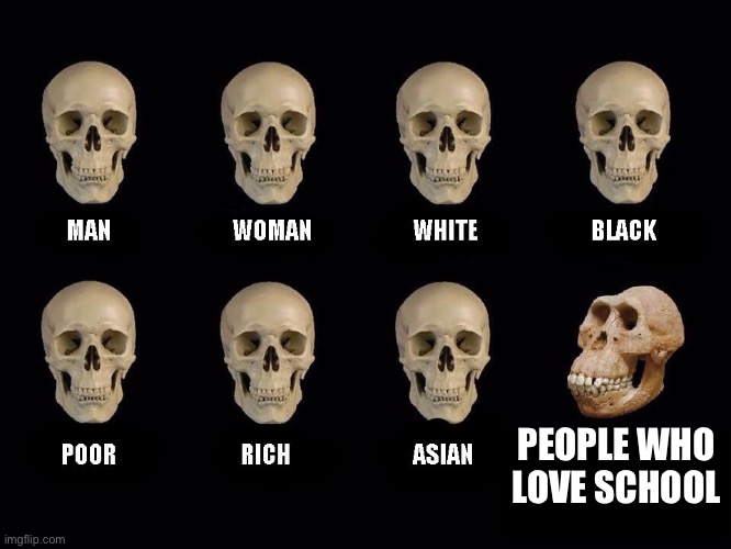 empty skulls of truth | PEOPLE WHO LOVE SCHOOL | image tagged in empty skulls of truth | made w/ Imgflip meme maker