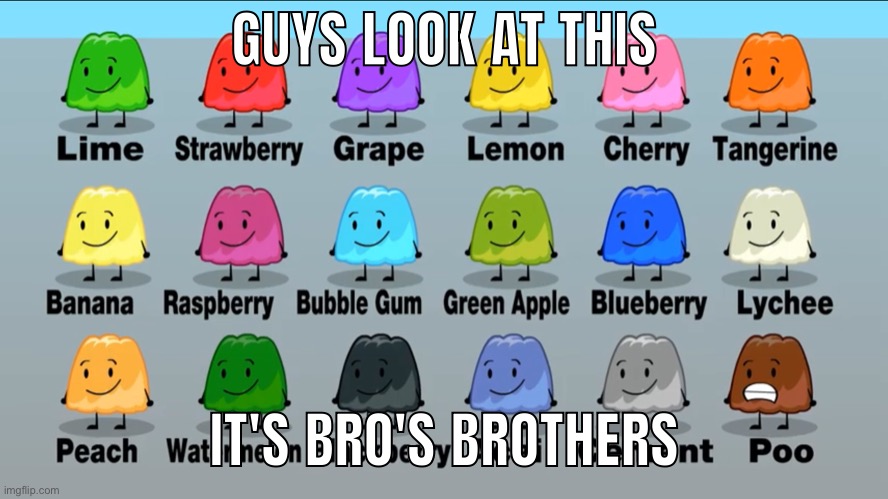 (what I mean by "bro" is that I'm referring to @Gelatin_BFDI) | GUYS LOOK AT THIS; IT'S BRO'S BROTHERS | made w/ Imgflip meme maker