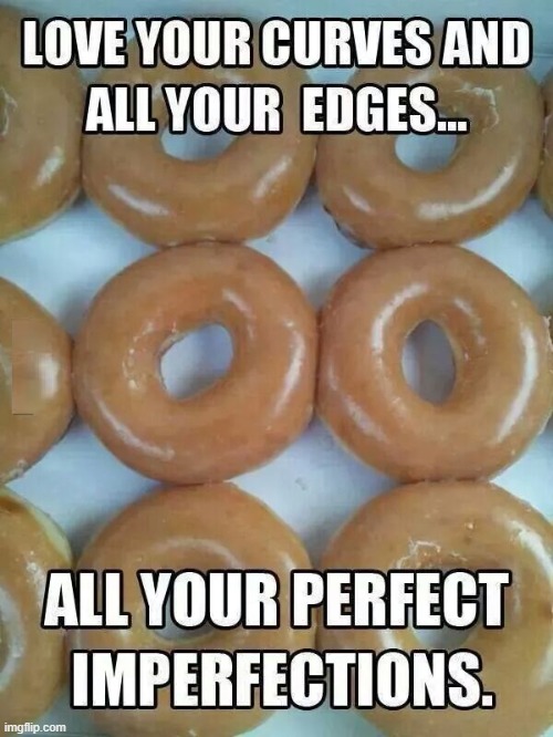 Plain Glazed Donuts are the Very Best! | image tagged in vince vance,donuts,memes,glazed donuts,cops and donuts,delicious | made w/ Imgflip meme maker