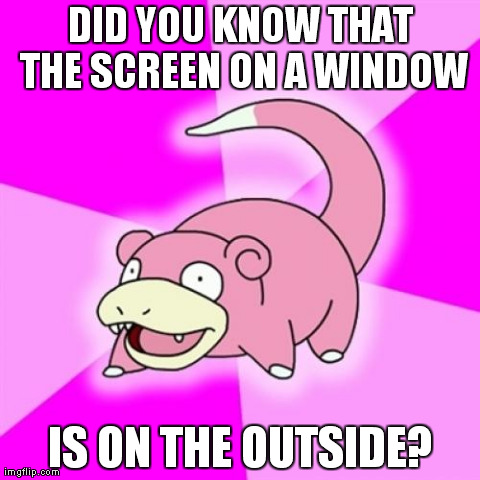 Slowpoke Meme | DID YOU KNOW THAT THE SCREEN ON A WINDOW IS ON THE OUTSIDE? | image tagged in memes,slowpoke,AdviceAnimals | made w/ Imgflip meme maker