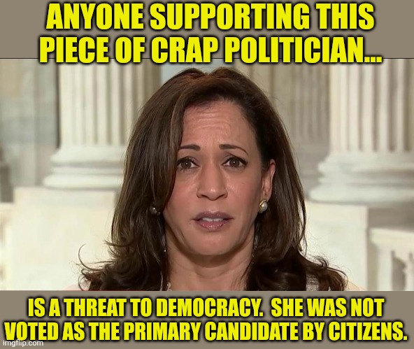 kamala harris | ANYONE SUPPORTING THIS PIECE OF CRAP POLITICIAN... IS A THREAT TO DEMOCRACY.  SHE WAS NOT VOTED AS THE PRIMARY CANDIDATE BY CITIZENS. | image tagged in kamala harris | made w/ Imgflip meme maker