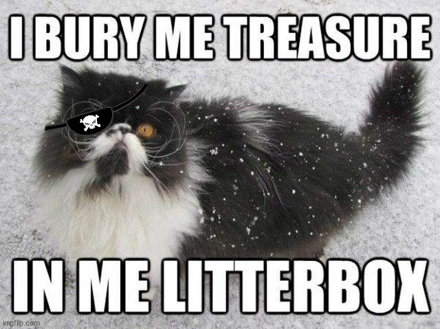 Litterbox full of treasure? | image tagged in cats,treasure,pirate | made w/ Imgflip meme maker