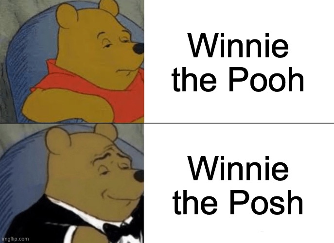 Tuxedo Winnie The Pooh | Winnie the Pooh; Winnie the Posh | image tagged in memes,tuxedo winnie the pooh | made w/ Imgflip meme maker