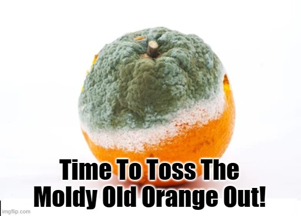 Time To Toss The Moldy Old Orange Out! | Time To Toss The Moldy Old Orange Out! | image tagged in trump,donald trump,maga,orange | made w/ Imgflip meme maker