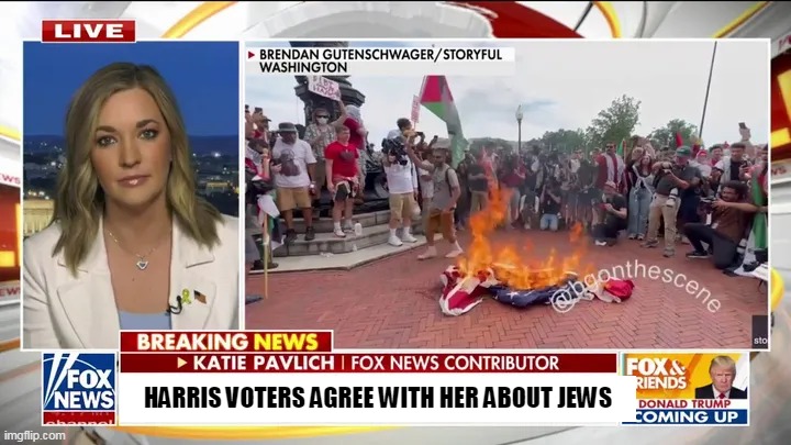 Dem Party Voters continue to fall in Line Behind Kamala | HARRIS VOTERS AGREE WITH HER ABOUT JEWS | image tagged in jews will vote dem regardless meme | made w/ Imgflip meme maker