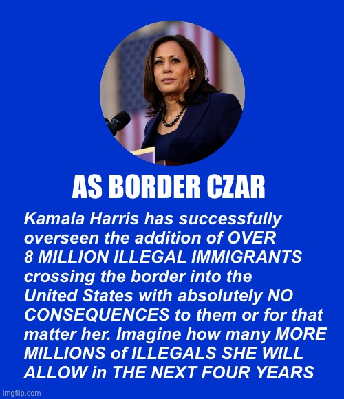 The End Game is One Party Rule | AS BORDER CZAR; Kamala Harris has successfully 
overseen the addition of OVER 
8 MILLION ILLEGAL IMMIGRANTS 
crossing the border into the 
United States with absolutely NO
CONSEQUENCES to them or for that 
matter her. Imagine how many MORE
MILLIONS of ILLEGALS SHE WILL 
ALLOW in THE NEXT FOUR YEARS | image tagged in blank blue - large,kamala harris | made w/ Imgflip meme maker