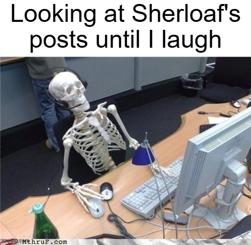 see y'all in the afterlife | Looking at Sherloaf's posts until I laugh | image tagged in waiting skeleton | made w/ Imgflip meme maker