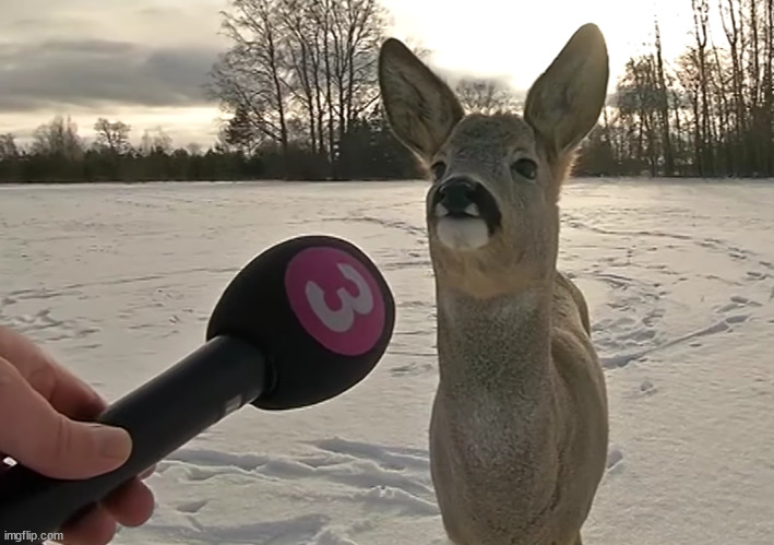 Deer Interview Blank Meme Template