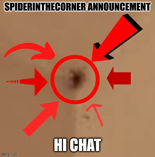 spiderinthecorner announcement | HI CHAT | image tagged in spiderinthecorner announcement | made w/ Imgflip meme maker