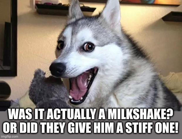 Pun dog - husky | WAS IT ACTUALLY A MILKSHAKE? OR DID THEY GIVE HIM A STIFF ONE! | image tagged in pun dog - husky | made w/ Imgflip meme maker