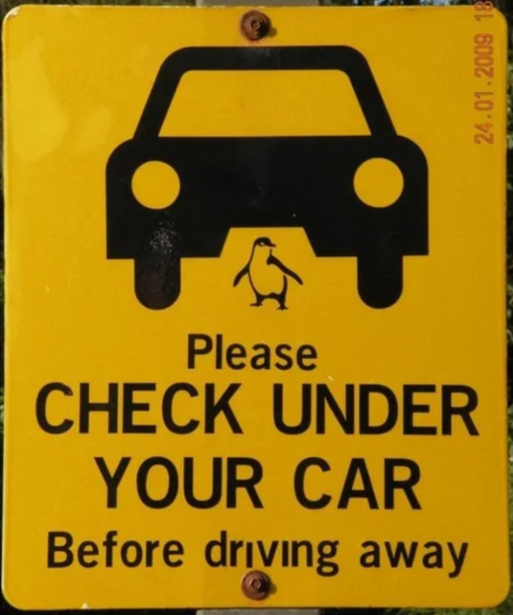 High Quality check under car sign Blank Meme Template