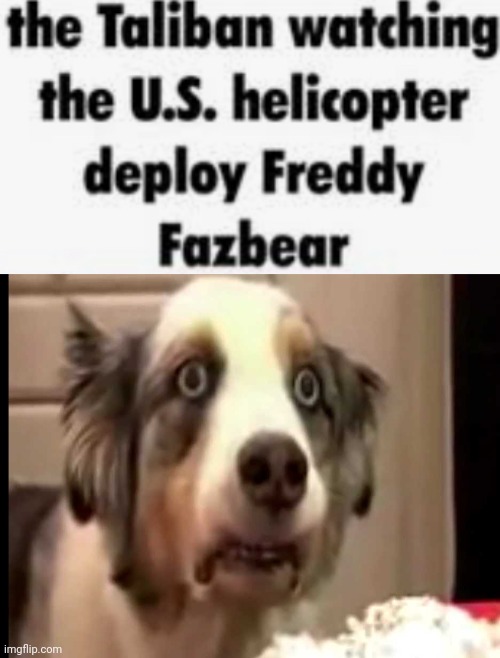 image tagged in the taliban watching the u s helicopter deploy freddy fazbear,vietnam flashback dog | made w/ Imgflip meme maker