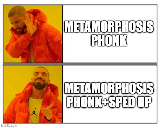 2022 be like: | METAMORPHOSIS
PHONK; METAMORPHOSIS
PHONK+SPED UP | image tagged in no - yes | made w/ Imgflip meme maker