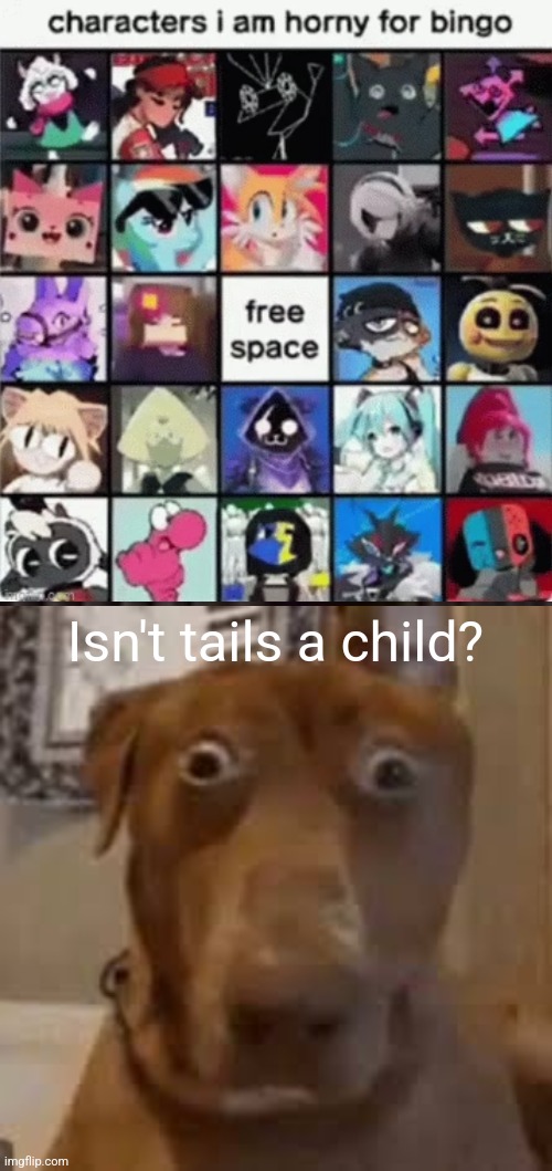 Isn't tails a child? | image tagged in shocked dog | made w/ Imgflip meme maker