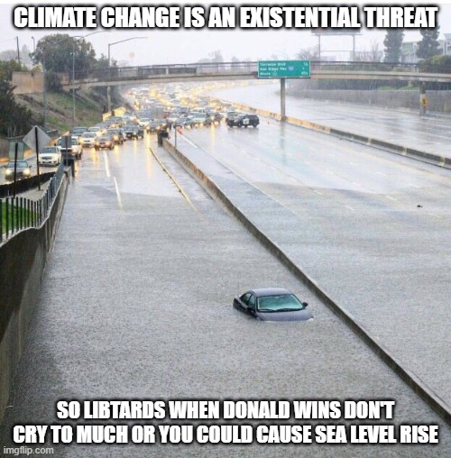 car in the flood | CLIMATE CHANGE IS AN EXISTENTIAL THREAT; SO LIBTARDS WHEN DONALD WINS DON'T CRY TO MUCH OR YOU COULD CAUSE SEA LEVEL RISE | image tagged in car in the flood | made w/ Imgflip meme maker