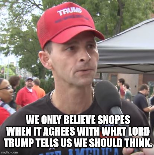 WE ONLY BELIEVE SNOPES WHEN IT AGREES WITH WHAT LORD TRUMP TELLS US WE SHOULD THINK. | image tagged in trump supporter | made w/ Imgflip meme maker