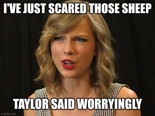 Taylor Swiftie | I'VE JUST SCARED THOSE SHEEP TAYLOR SAID WORRYINGLY | image tagged in taylor swiftie | made w/ Imgflip meme maker