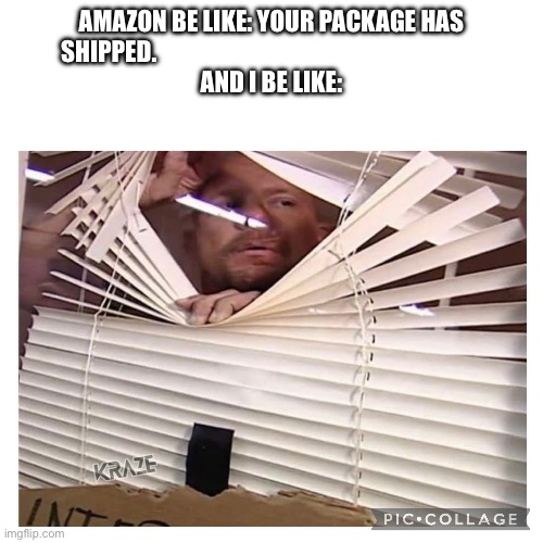 Amazon shoppers be like: | AMAZON BE LIKE: YOUR PACKAGE HAS SHIPPED.                                                                    
AND I BE LIKE: | image tagged in amazon,package,kermit window,waiting,impatient,delivery | made w/ Imgflip meme maker