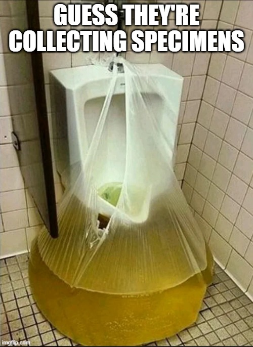Urinal Bag | GUESS THEY'RE COLLECTING SPECIMENS | image tagged in cursed image | made w/ Imgflip meme maker