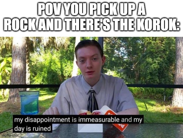 My day is ruined | POV YOU PICK UP A ROCK AND THERE'S THE KOROK: | image tagged in my day is ruined | made w/ Imgflip meme maker