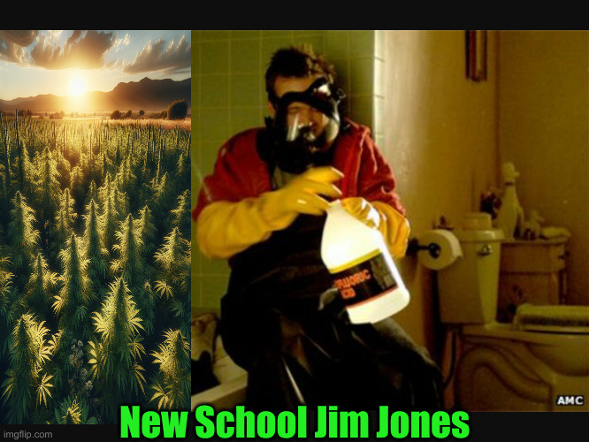The Real Brainwashed CULT | New School Jim Jones | image tagged in jesse hydrofluoric acid,political meme,politics,funny memes,funny | made w/ Imgflip meme maker