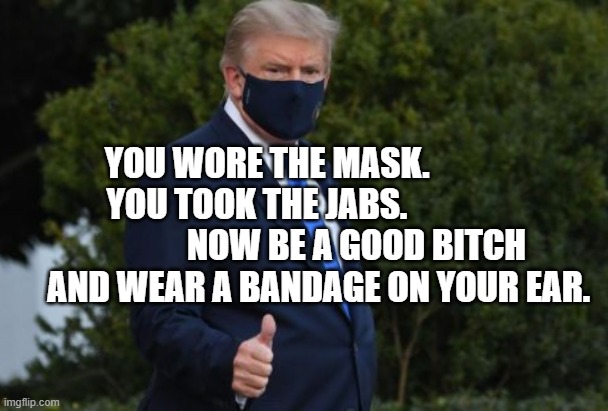 Trump Mask COVID-19 | YOU WORE THE MASK.           YOU TOOK THE JABS.             
                 NOW BE A GOOD BITCH       AND WEAR A BANDAGE ON YOUR EAR. | image tagged in trump mask covid-19 | made w/ Imgflip meme maker