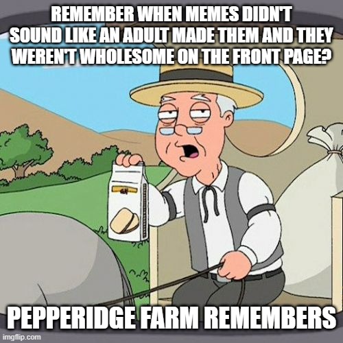 #BRINGFUNNYMEMES BACK | REMEMBER WHEN MEMES DIDN'T SOUND LIKE AN ADULT MADE THEM AND THEY WEREN'T WHOLESOME ON THE FRONT PAGE? PEPPERIDGE FARM REMEMBERS | image tagged in memes,pepperidge farm remembers,fun,funny | made w/ Imgflip meme maker
