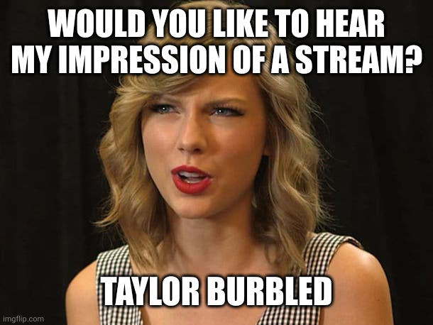 Taylor Swiftie | WOULD YOU LIKE TO HEAR MY IMPRESSION OF A STREAM? TAYLOR BURBLED | image tagged in taylor swiftie | made w/ Imgflip meme maker