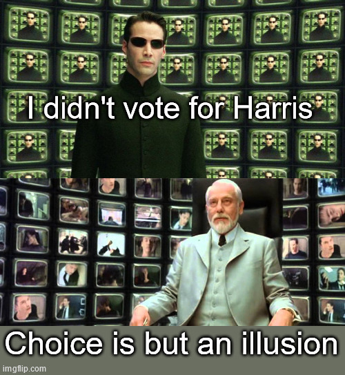 The DNC | I didn't vote for Harris; Choice is but an illusion | image tagged in the problem is choice,matrix architect | made w/ Imgflip meme maker